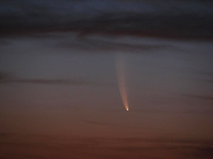 C/2006 P1 McNaught :: Sur Astron�mico