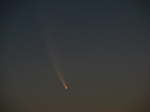 C/2006 P1 McNaught :: Sur Astron&oacute;mico