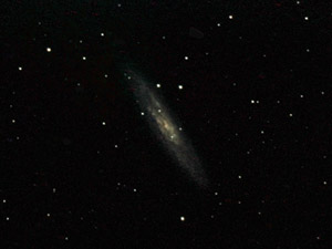 NGC 253