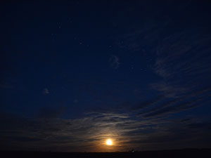 S�per Luna y Scorpius