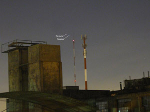 Alineaci�n Plentaria