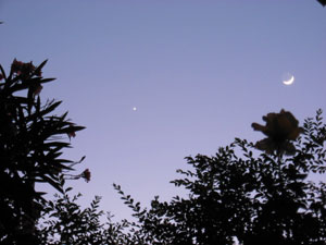 Luna y Venus :: Sur Astron�mico