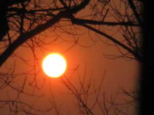 Sol :: Sur Astron�mico