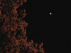 Eclipse Lunar :: Sur Astron&oacute;mico