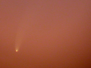 C/2006 P1 McNaught :: Sur Astron�mico