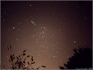 Orion (f=50mm, F/1.7)