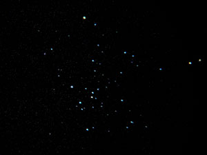 C/2006 P1 McNaught :: Sur Astron�mico