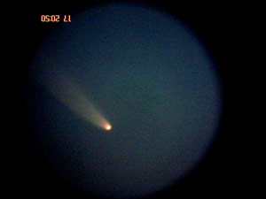 C/2006 P1 McNaught :: Sur Astron�mico