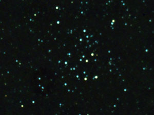 M 20 - Marcelo Salemme :: Sur Astron�mico