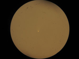 C/2006 P1 McNaught :: Sur Astron�mico