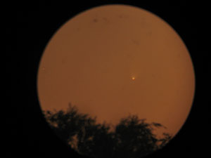 C/2006 P1 McNaught :: Sur Astron�mico