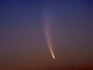 C/2006 P1 McNaught :: Sur Astron&oacute;mico