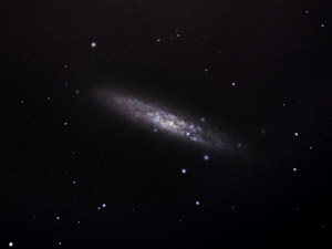 NGC 253 :: Sur Astron�mico