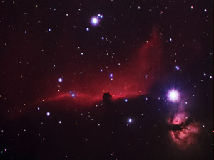 Barnard 33 :: Sur Astron�mico