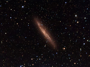 NGC 4945 :: Sur Astron�mico