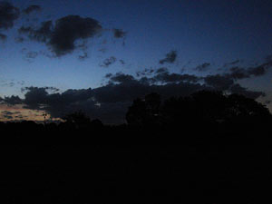 Star Party Villa Constituci�n