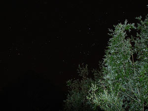 Star Party Villa Constituci�n