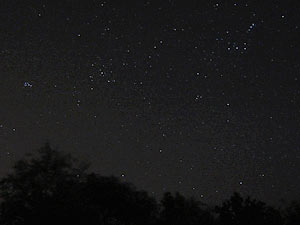 Star Party Villa Constituci�n